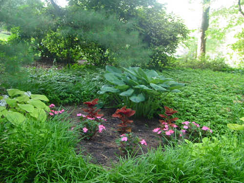 Small garden beside driveway